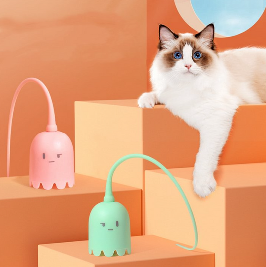 Cute interactive cat toy